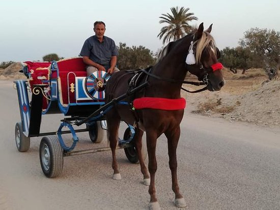 CALÈCHE Tunisia