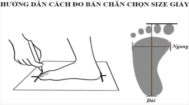 Các bước đo size giày đơn giản nhất