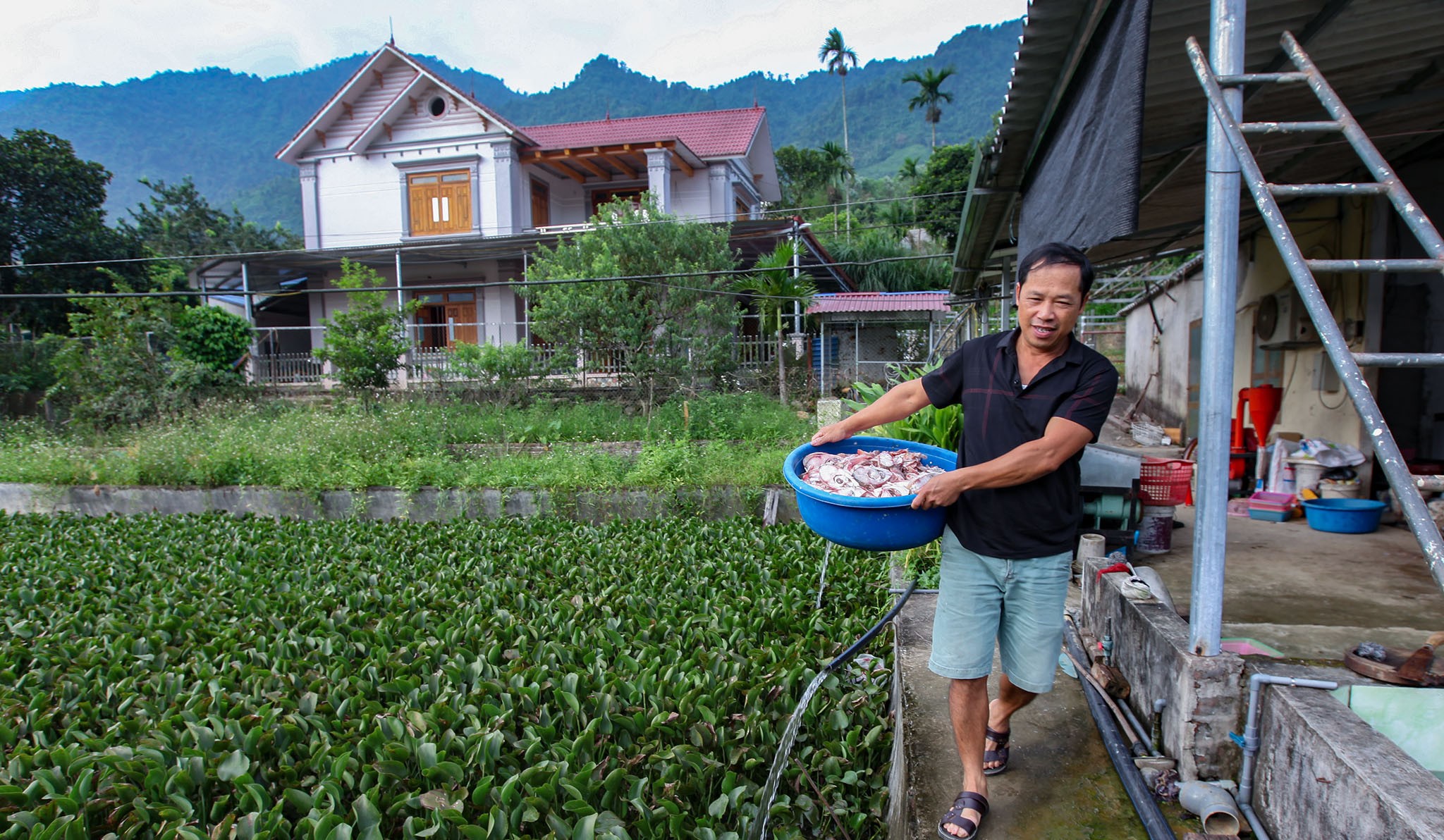 Trang trại nuôi Baba tại Văn Chấn ,Yên Bái