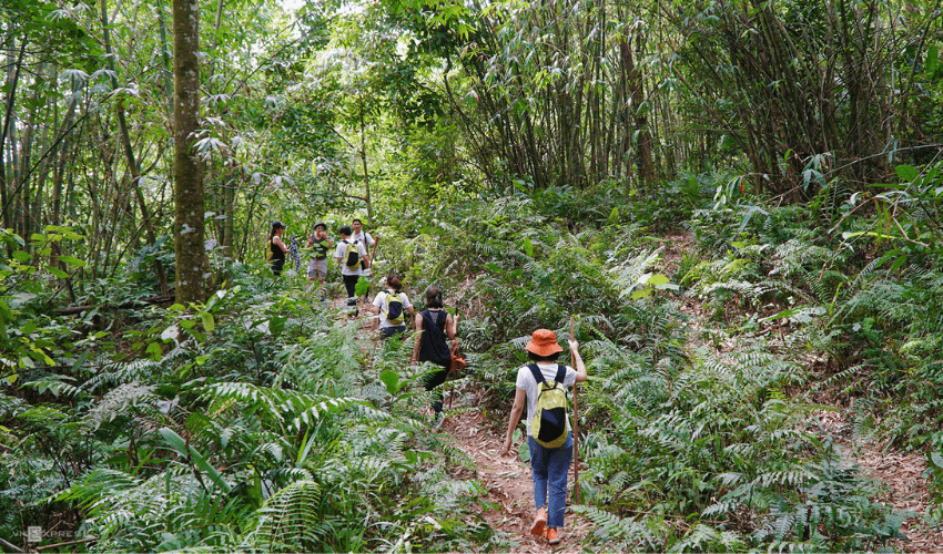 Chi phí một tour trekking leo núi đi xuyên qua rừng Ba Vì là bao nhiêu?