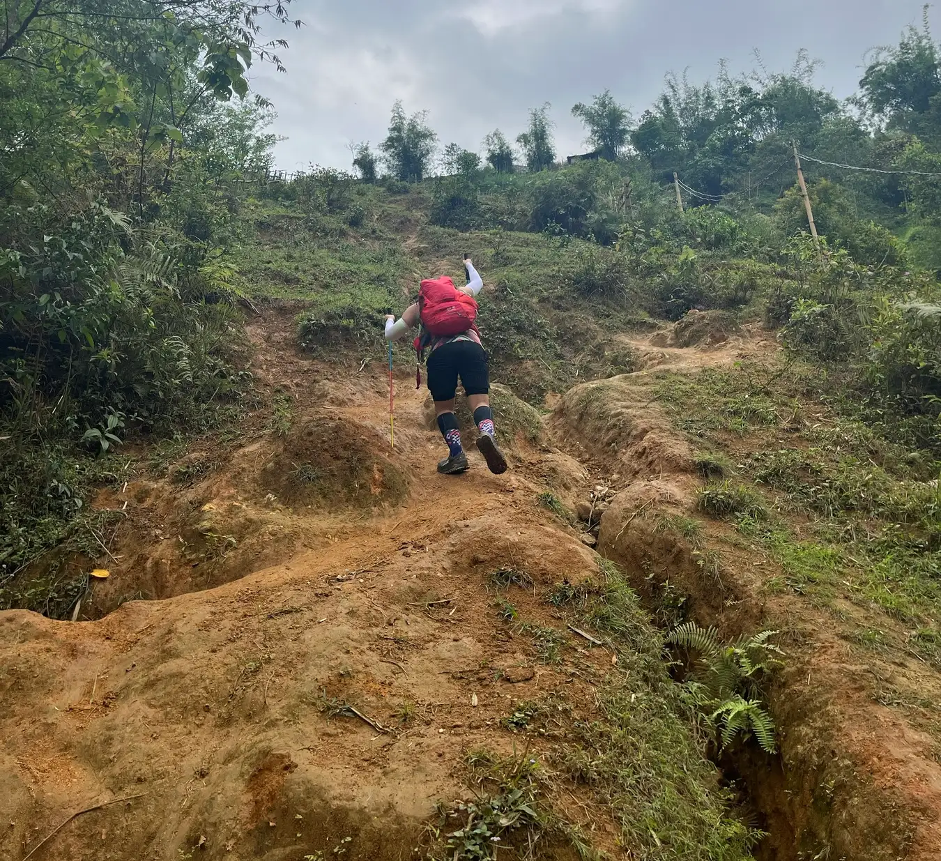 Hành trình trekking Bạch Mộc Lương trong ký ức, trải nghiệm của tôi