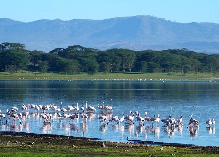 Hồ Naivasha