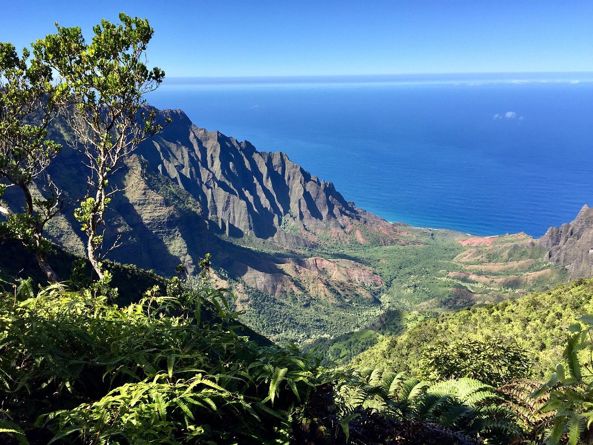 Koke'e Nature Reserve