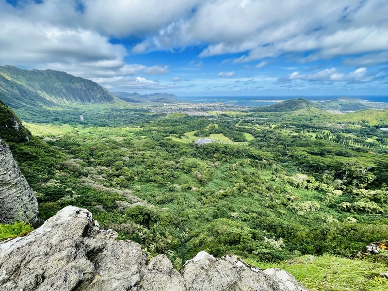 Núi Lookout