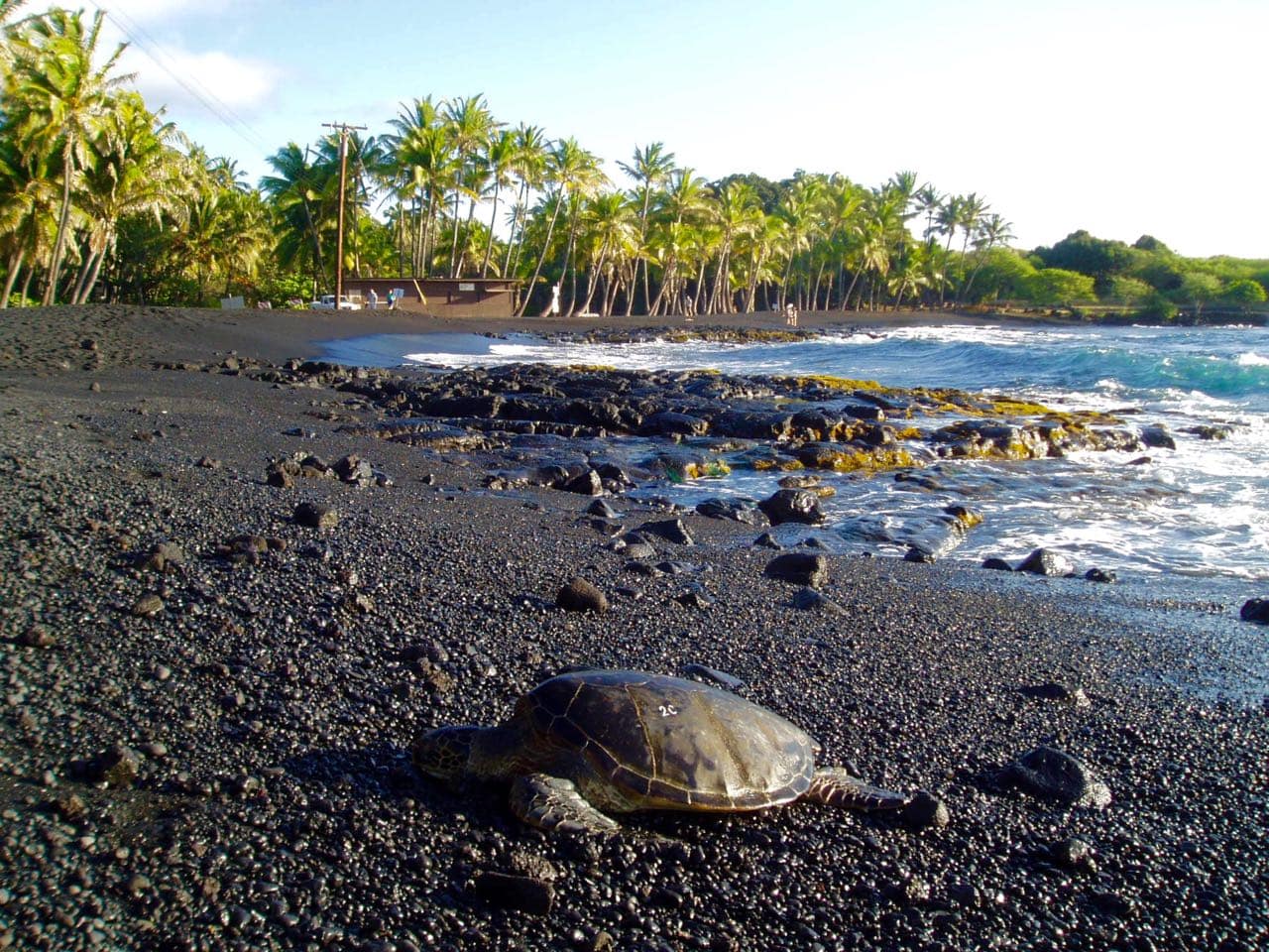 Punaluu Black Sand Beach