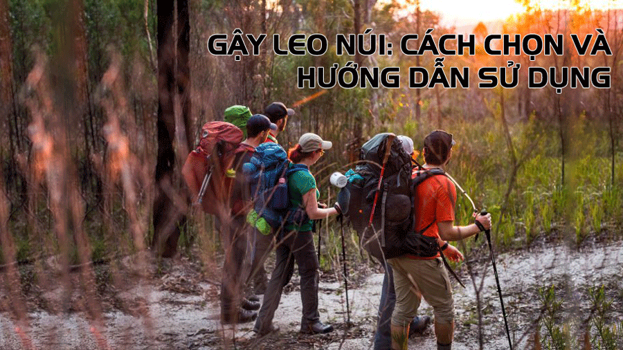 Tiêu chí chọn Gậy leo núi tốt nhất