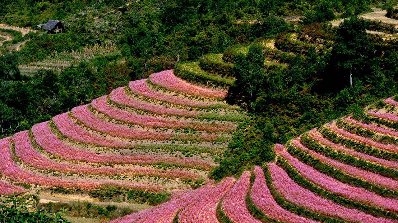 Thung lũng Sủng Là